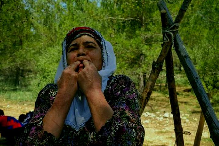 Escorts Cukurasma, Turkey — Local Companions