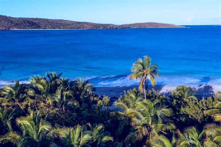 Escorts Culebra, Puerto Rico — Local Companions