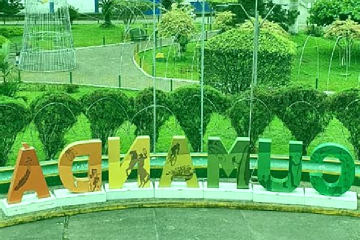 Escorts Cumanda, Ecuador — Local Companions