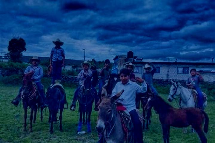 Escorts Cuparataro, Mexico — Local Companions