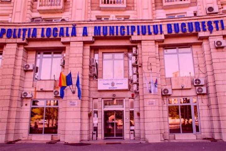 Escorts Curteni, Romania — Local Companions