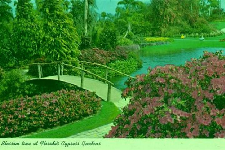 Escorts Cypress Gardens, United States — Local Companions