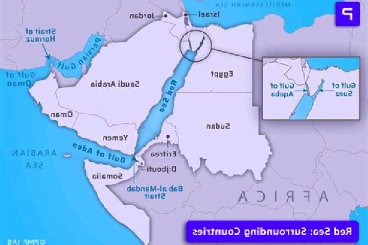 Escorts Dahab, Egypt — Local Companions