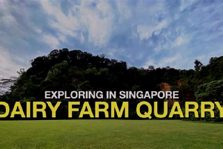 Escorts Dairy Farm, Singapore — Local Companions