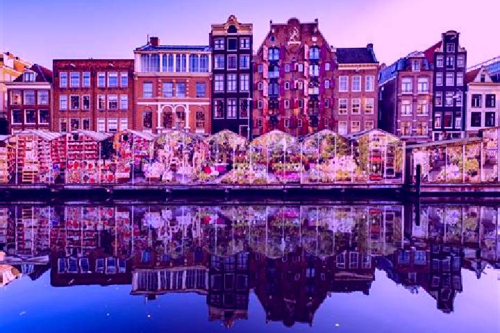 Escorts Dalfsen, Netherlands — Local Companions