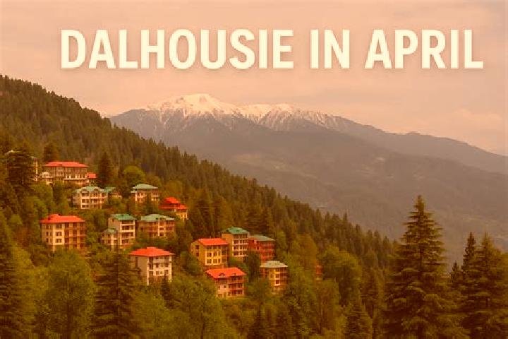 Escorts Dalhousie, India — Local Companions