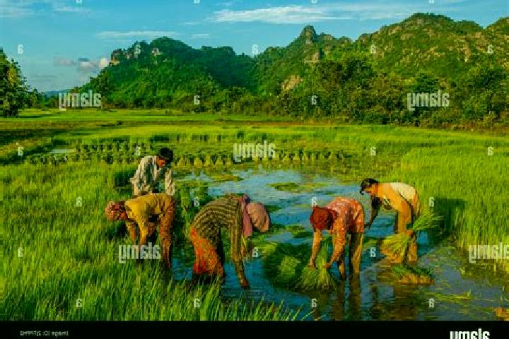 Escorts Damrei Slab, Cambodia — Local Companions