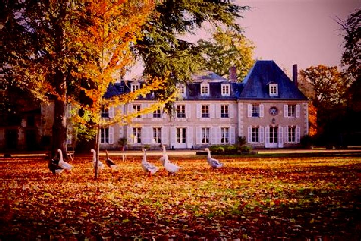 Escorts Dangeau, France — Local Companions