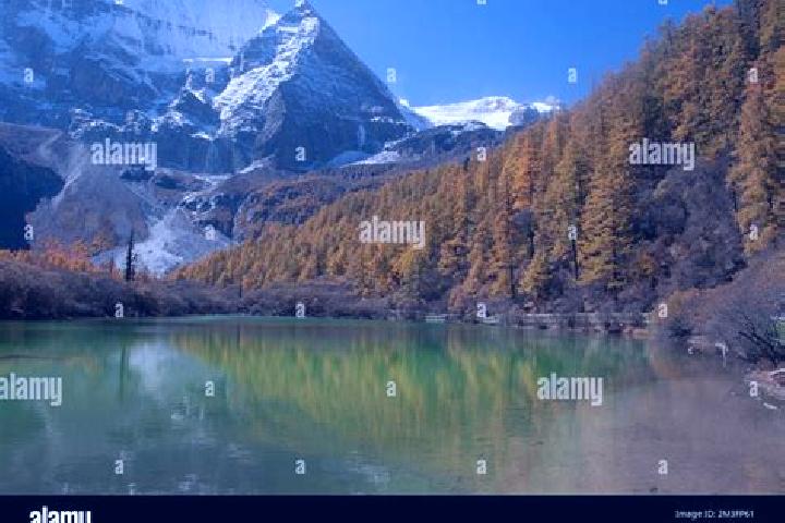 Escorts Daocheng, China — Local Companions