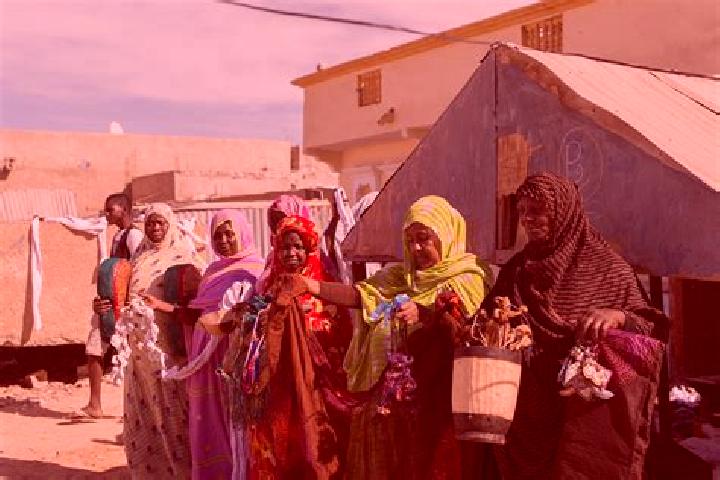 Escorts Dar Naim, Mauritania — Local Companions