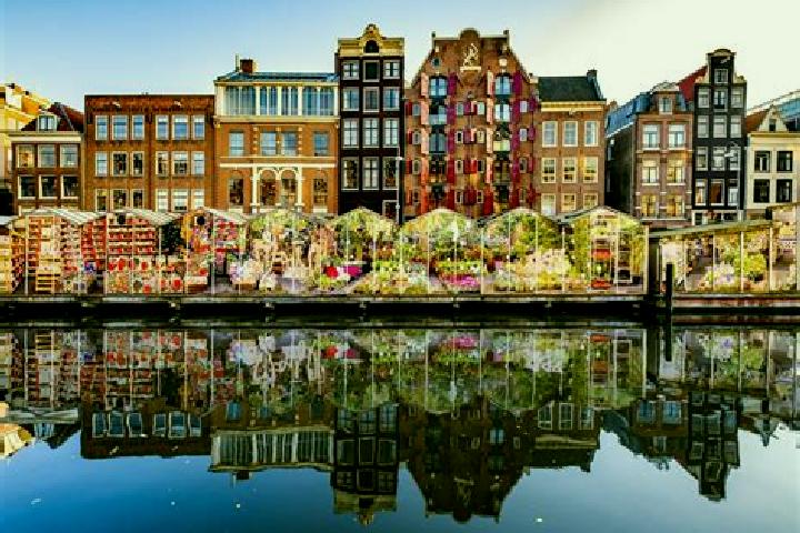Escorts Darp, Netherlands — Local Companions