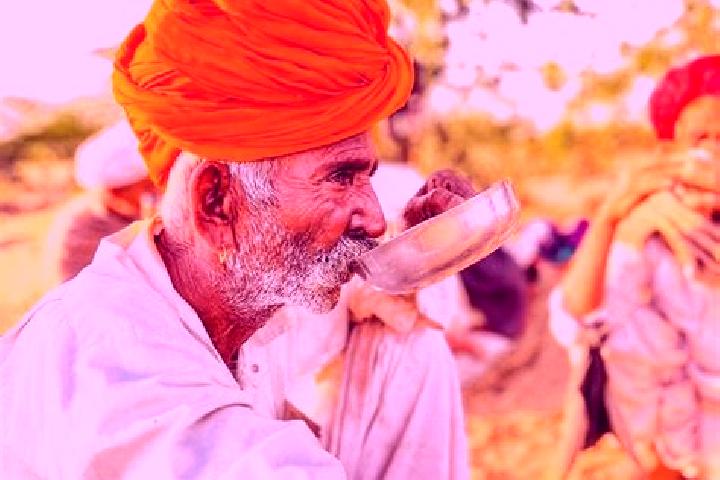 Escorts Dausa, India — Local Companions