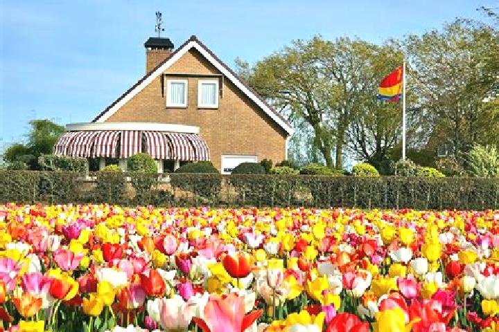 Escorts De Klomp, Netherlands — Local Companions