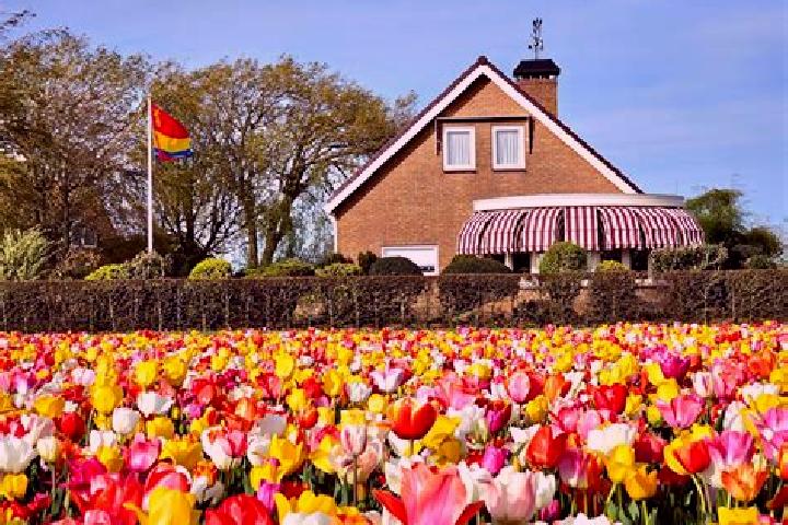 Escorts De Maer, Netherlands — Local Companions
