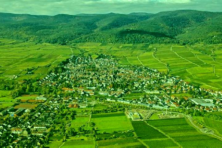 Escorts Deidesheim, Germany — Local Companions