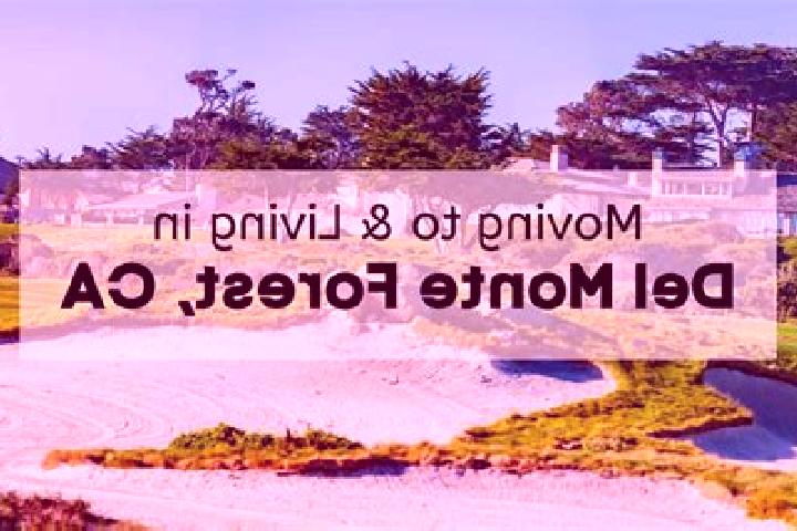Escorts Del Monte Forest, United States — Local Companions