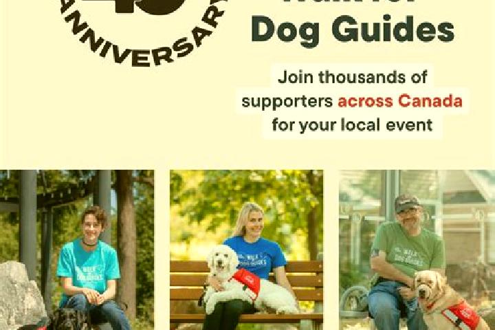 Escorts Delisle, Canada — Local Companions