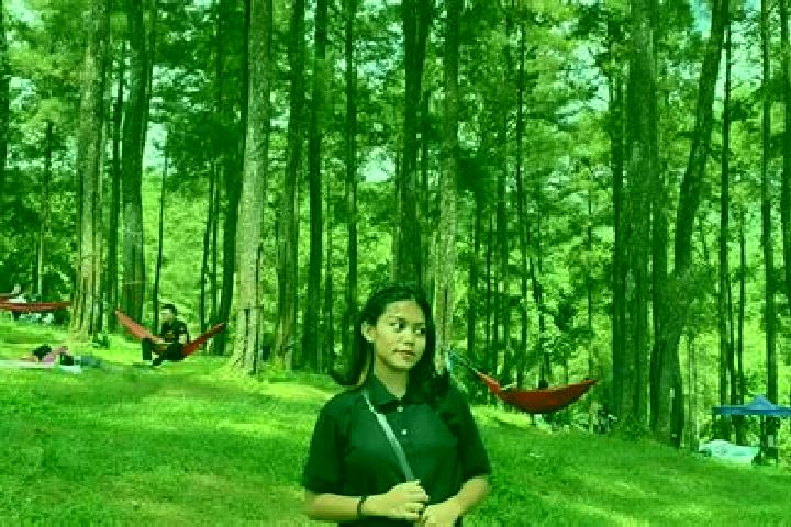Escorts Desa Darmacaang, Indonesia — Local Companions