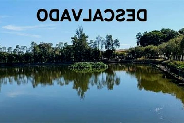 Escorts Descalvado, Brazil — Local Companions
