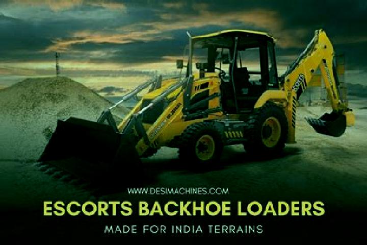 Escorts Dhasa, India — Local Companions