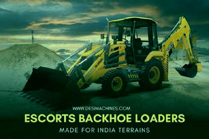 Escorts Dhrol, India — Local Companions