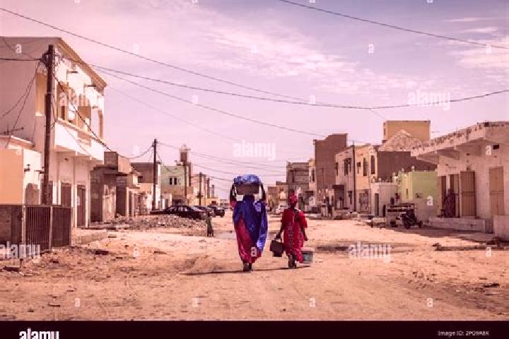 Escorts Diaguily, Mauritania — Local Companions