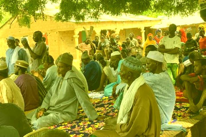 Escorts Dobo, Gambia — Local Companions