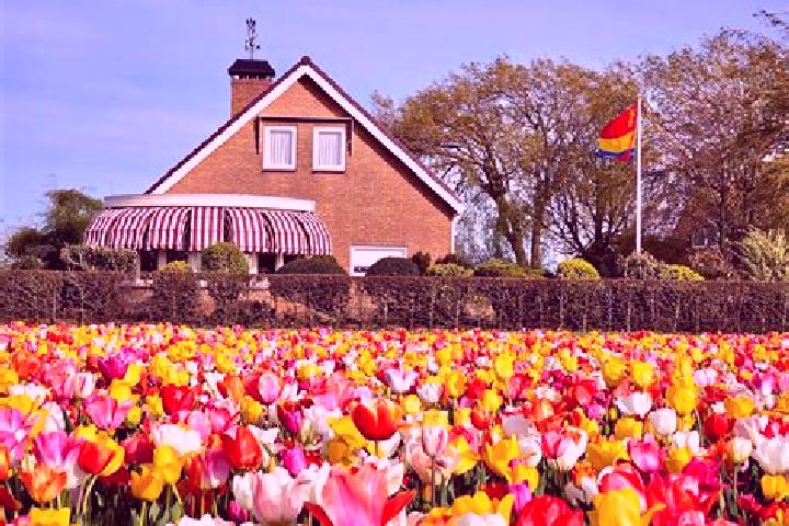Escorts Dodewaard, Netherlands — Local Companions