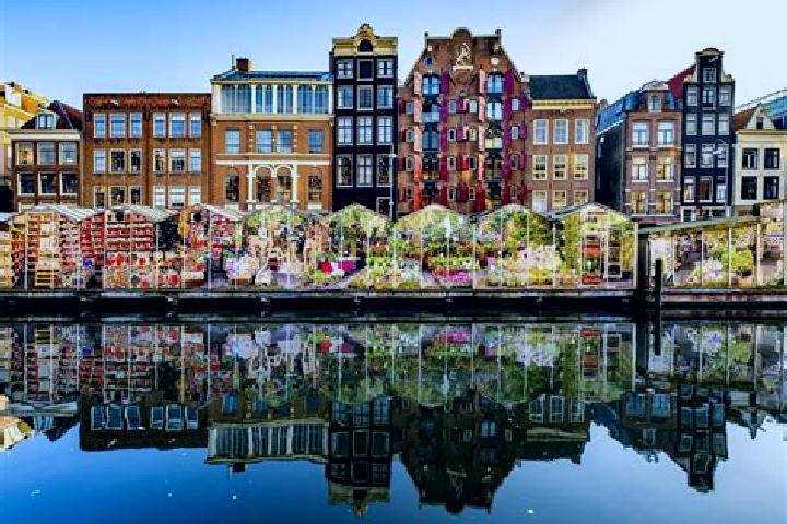 Escorts Doenrade, Netherlands — Local Companions