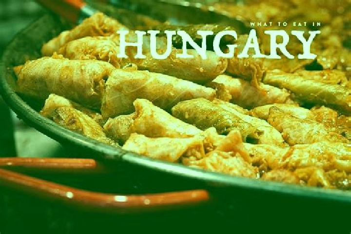 Escorts Doer, Hungary — Local Companions