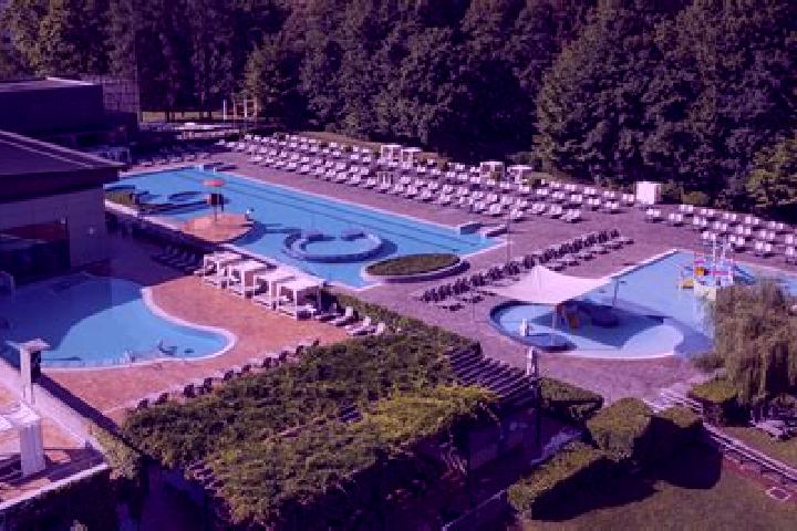 Escorts Dolenjske Toplice, Slovenia — Local Companions