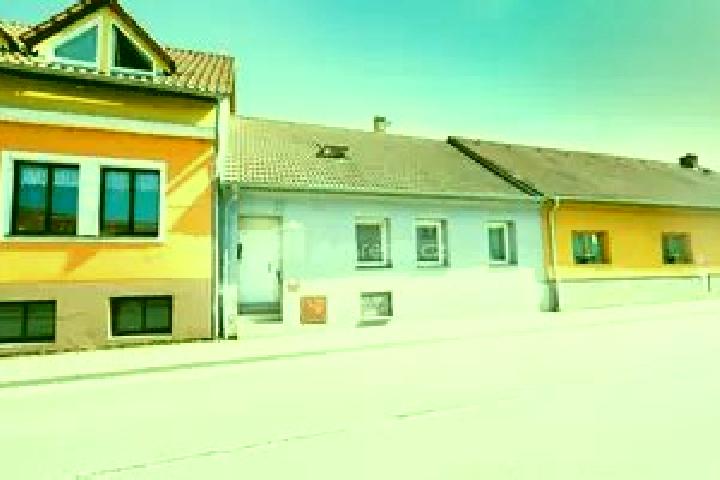 Escorts Dolni Trebonin, Czech Republic — Local Companions