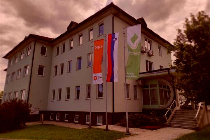 Escorts Dolnji Zemon, Slovenia — Local Companions