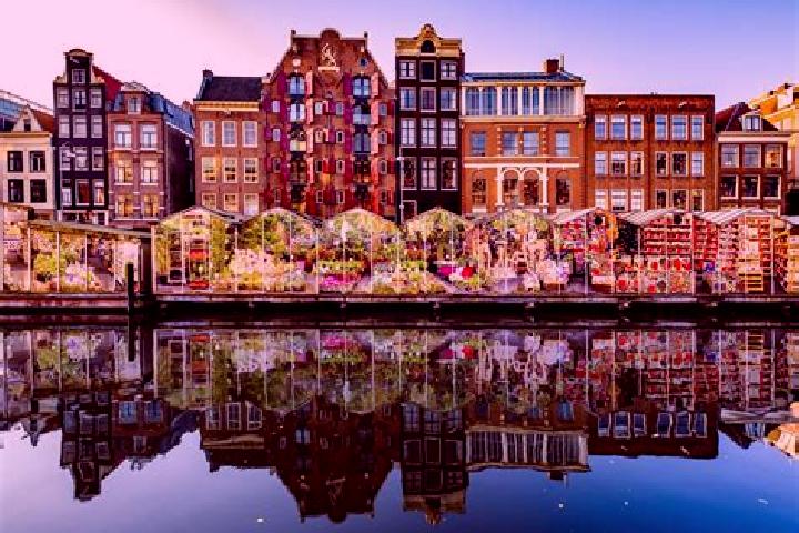 Escorts Donk, Netherlands — Local Companions