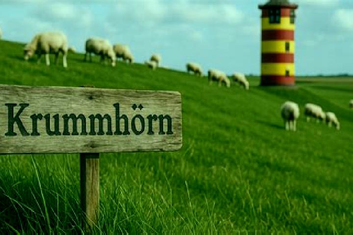 Escorts Dornum, Germany — Local Companions