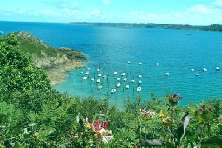 Escorts Douarnenez, France — Local Companions