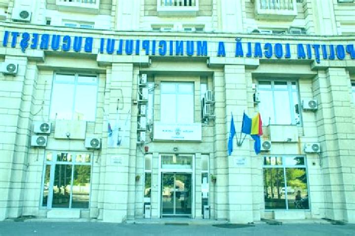 Escorts Dracesti, Romania — Local Companions