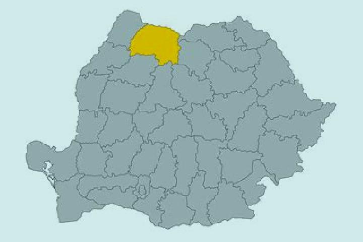 Escorts Draxini, Romania — Local Companions