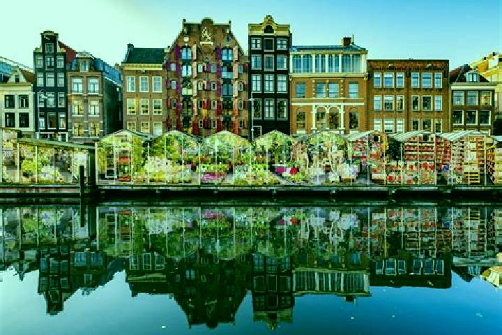 Escorts Driemanspolder, Netherlands — Local Companions