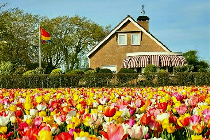 Escorts Druten, Netherlands — Local Companions