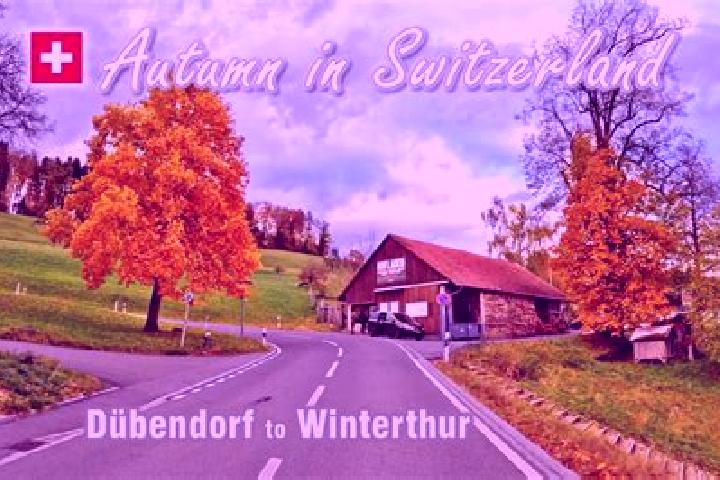 Escorts Duebendorf / Gruezenstrasse, Switzerland — Local Companions