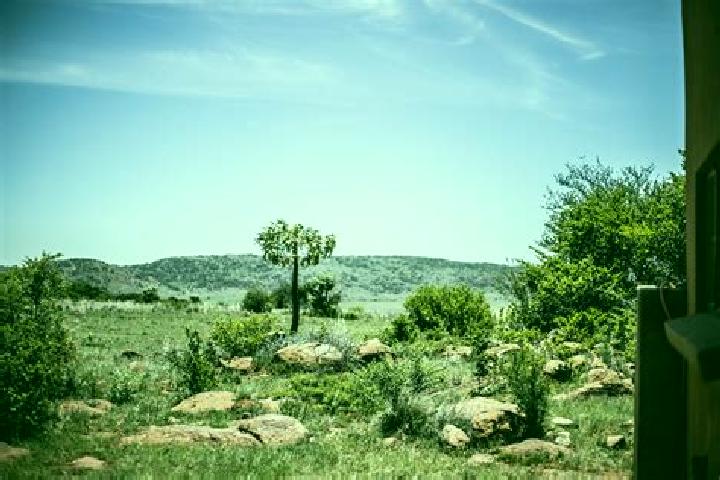 Escorts Dullstroom, South Africa — Local Companions
