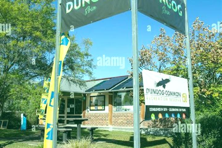 Escorts Dungog, Australia — Local Companions