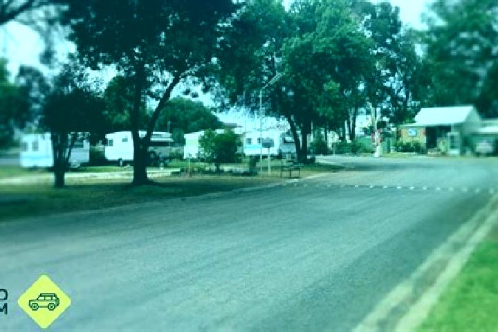 Escorts Dunolly, Australia — Local Companions