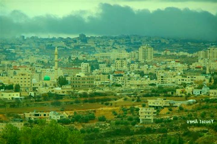 Escorts Dura, Palestine — Local Companions
