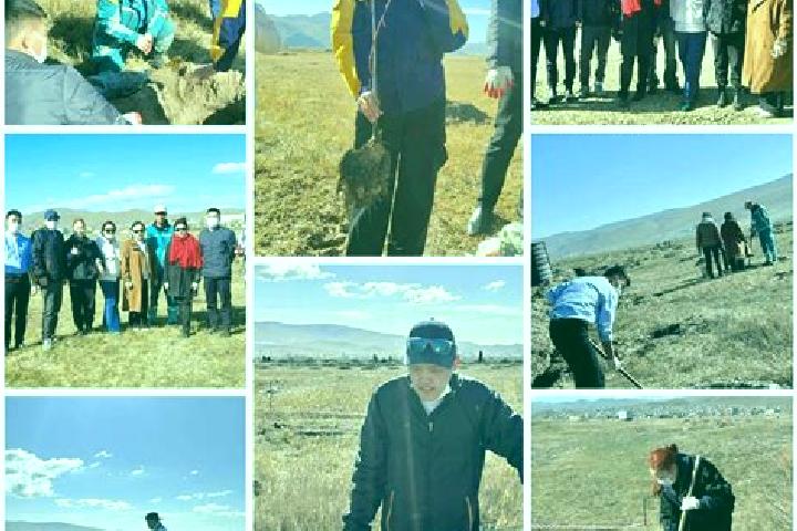 Escorts Dzuunmod, Mongolia — Local Companions