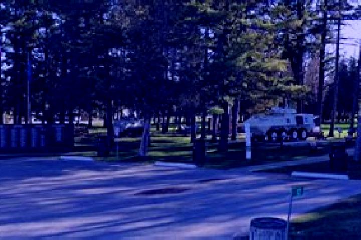 Escorts East Angus, Canada — Local Companions