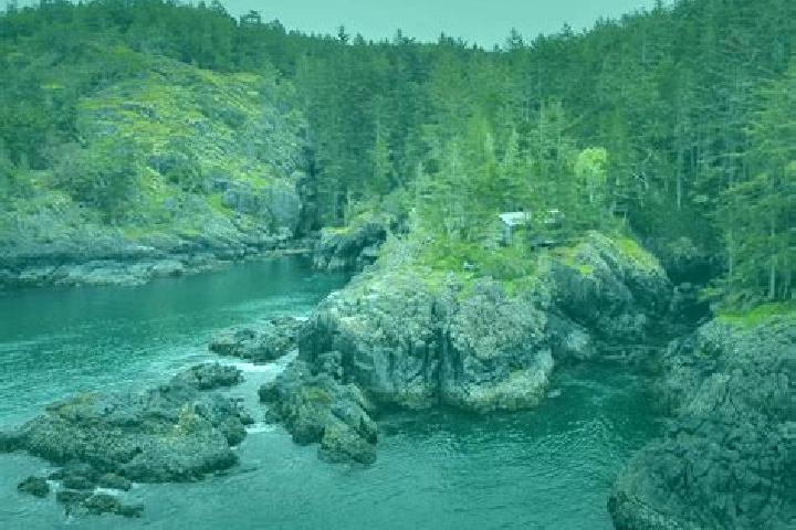 Escorts East Sooke, Canada — Local Companions