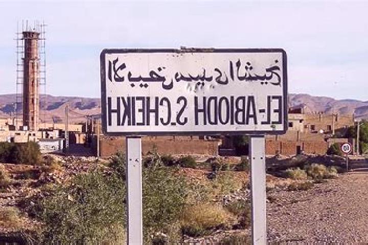 Escorts El Abiodh Sidi Cheikh, Algeria — Local Companions