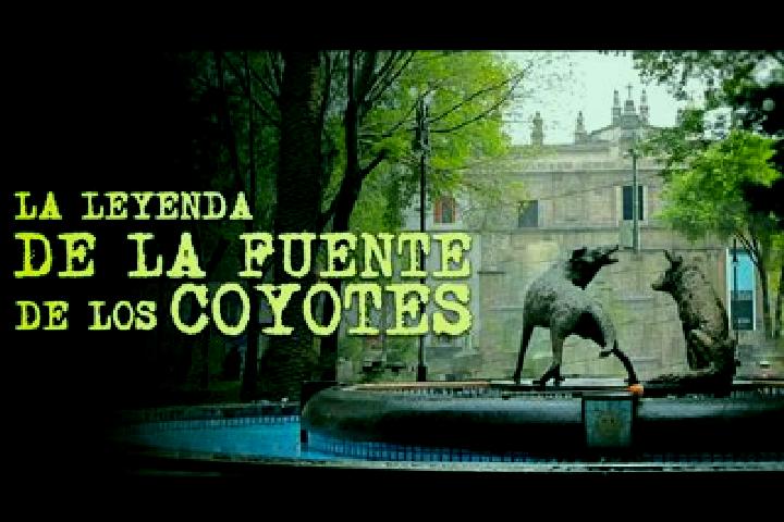 Escorts El Coyote, Mexico — Local Companions